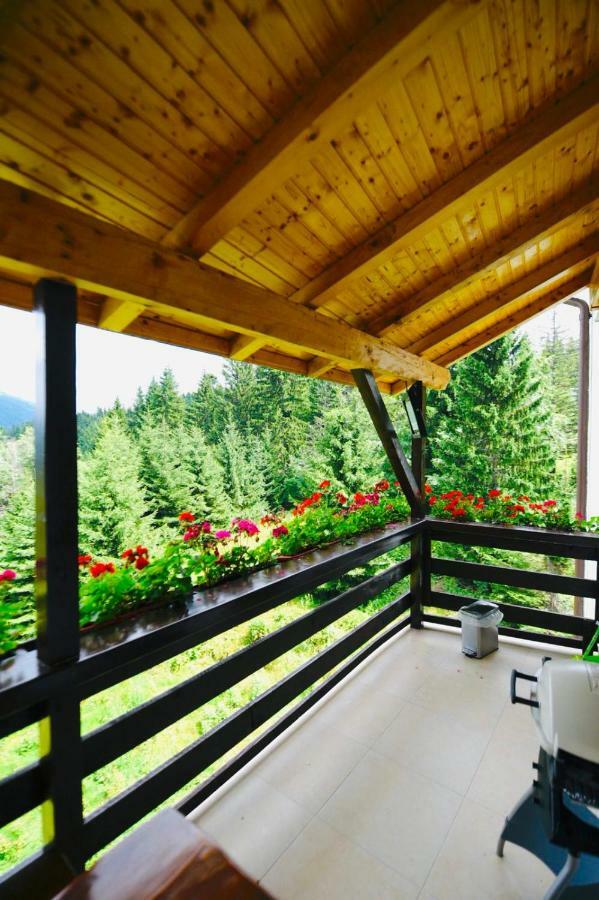Nature House Predeal Eksteriør bilde